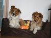 2010-04-01 Ostern - 1