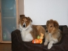 2010-04-01 Ostern - 10
