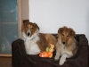 2010-04-01 Ostern - 11