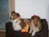 2010-04-01 Ostern - 12