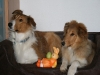 2010-04-01 Ostern - 13
