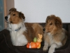 2010-04-01 Ostern - 14