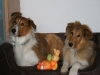 2010-04-01 Ostern - 15