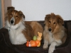2010-04-01 Ostern - 16