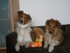 2010-04-01 Ostern - 18