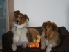 2010-04-01 Ostern - 19
