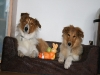 2010-04-01 Ostern - 2
