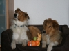 2010-04-01 Ostern - 20