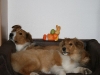 2010-04-01 Ostern - 21