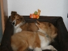 2010-04-01 Ostern - 22