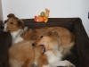 2010-04-01 Ostern - 23
