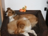 2010-04-01 Ostern - 24