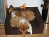 2010-04-01 Ostern - 25