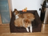 2010-04-01 Ostern - 26