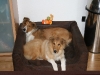2010-04-01 Ostern - 27