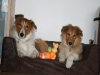 2010-04-01 Ostern - 4