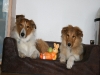 2010-04-01 Ostern - 5