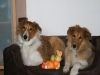 2010-04-01 Ostern - 6