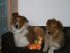 2010-04-01 Ostern - 7
