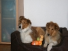 2010-04-01 Ostern - 9