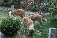 2010-04-19 Besuch Anton