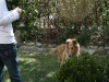 2010-04-19 Besuch Anton - 91