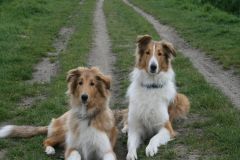 2010-04-27 Schnappschüsse