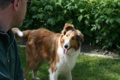 2010-05-23 Treffen BI