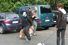 2010-05-30 Grace BH-Prüfung