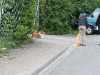 2010-05-30 Grace BH-Prüfung - 69
