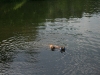 2010-06-06 Schwimmen - 134