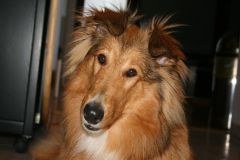 2010-07-03 Schnappschüsse Anouk