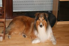 2010-07-17 Pensionsgäste