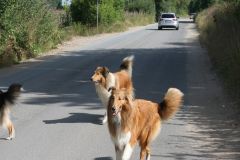 2010-07-18 Schwimmen