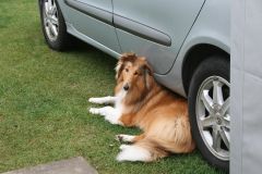 2010-08-06 Klein Waabs