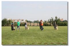 2010-08-22 Grace 1. Obedience Tunier