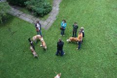 2010-08-28 White Socks Treffen