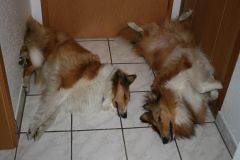 2010-09-30 Schnappschüsse