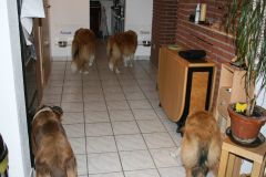 2010-10-10 Pensionsgäste