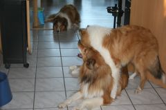 2010-10-11 Pensionsgäste