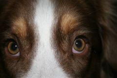 2010-10-14 Pensionsgäste