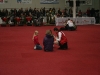 2010-10-31 IZH  - 17