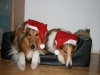 2010-12-24 Weihnachten - 5 2010-12-24 Weihnachten - 5