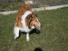 2011-03-19 Grace - 1