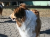 2011-03-19 Grace - 19