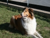 2011-03-19 Grace - 4