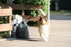 2011-05-05 Pensionsgäste