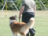 2011-05-28 Obedience - 28