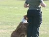 2011-05-28 Obedience - 36