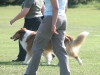 2011-05-28 Obedience - 38